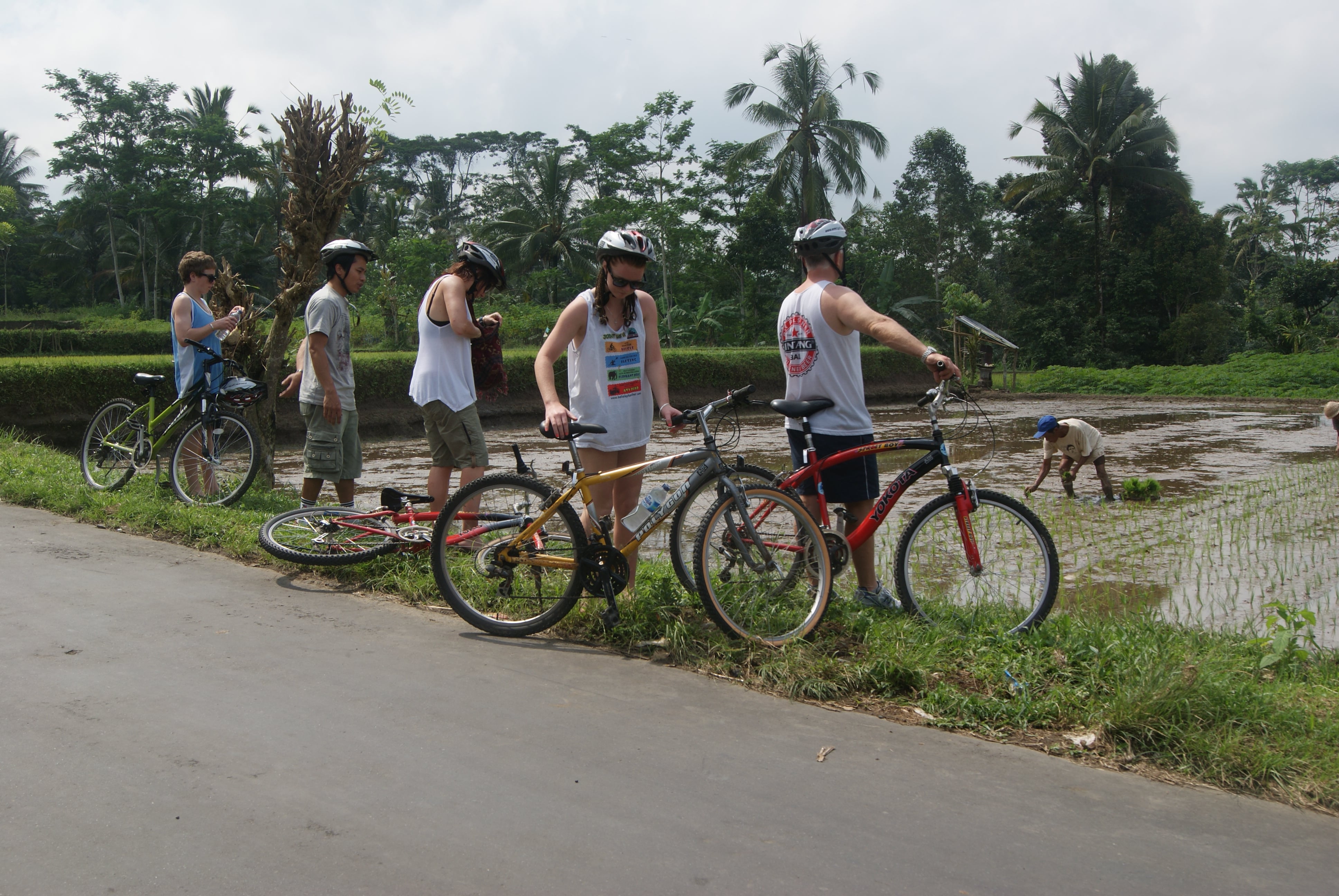 bali cycling tour